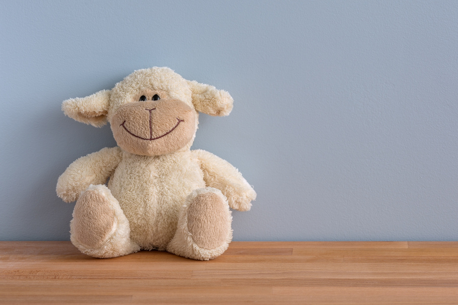 Cuddly Teddy Bear Toy